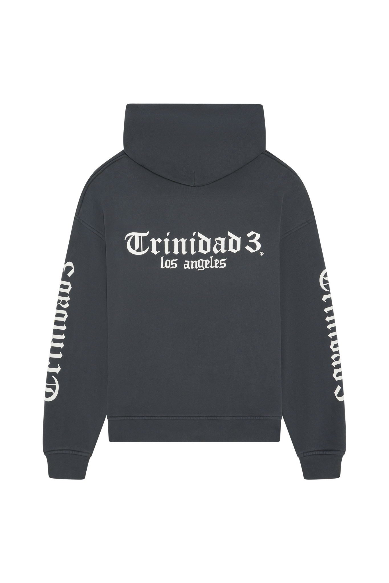T3 LOGO PREMIUM HOODIE